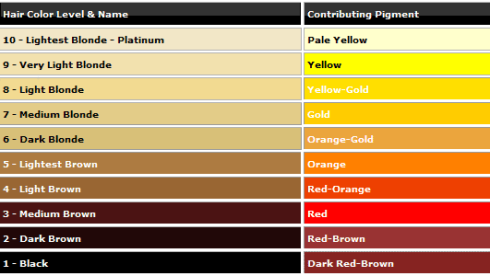 Dark Honey Hair Color Chart